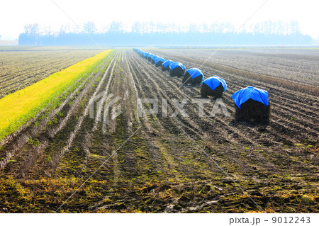 にお積み 9012243