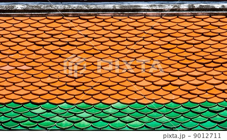 Roof Pattern 9012711