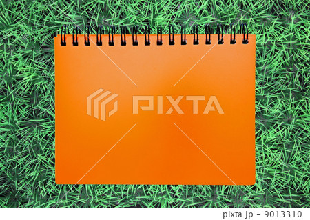 blank orange ring binding on green grass 9013310