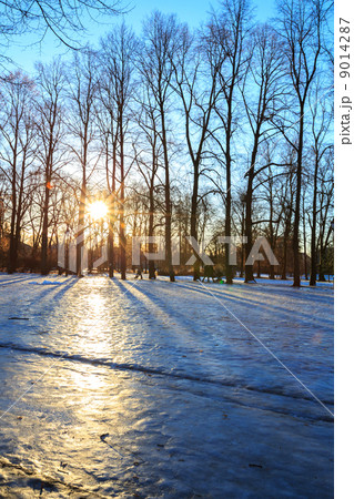 Vigeland park winter Oslo Norway 9014287
