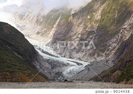 Franz Josef Glacier 9014438