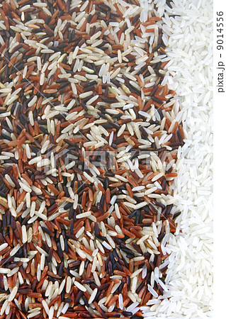 Rice Background Rice Background 9014556