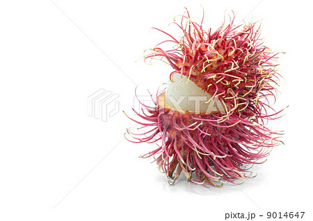 rambutan fruit macro 9014647