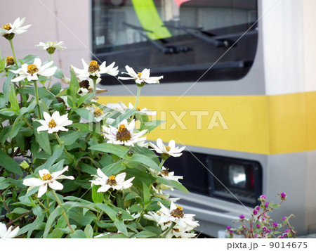 中央・総武緩行線 E231系　本八幡駅 9014675