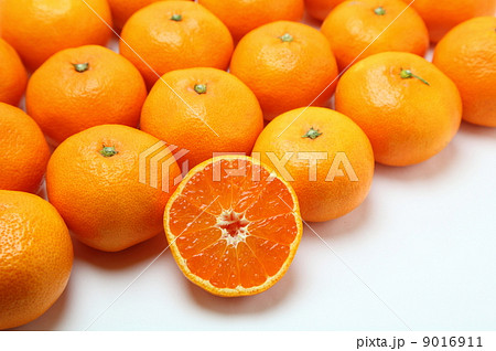 有田みかん 有田みかん 9016911