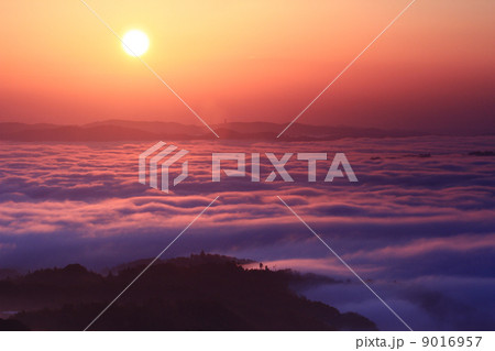 雲海７６５ 9016957