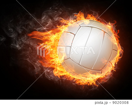 Volleyball Ball 9020308