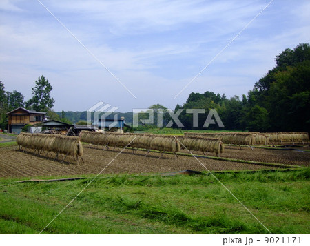 はさがけ はさがけ 9021171