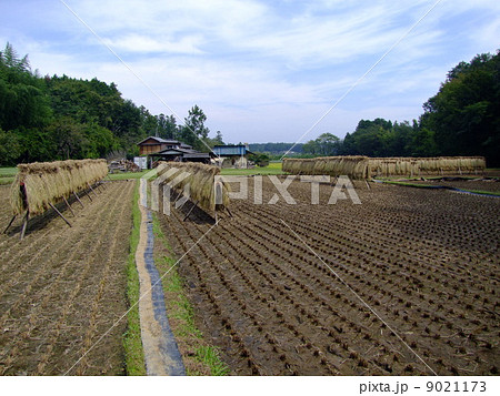 はさがけ 9021173