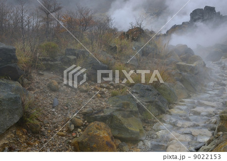 大涌谷 紅葉 大涌谷 紅葉 9022153