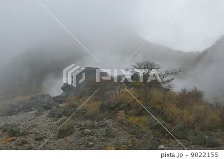 大涌谷 紅葉 大涌谷 紅葉 9022155