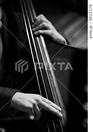 ウッドベース ウッドベース 9022178