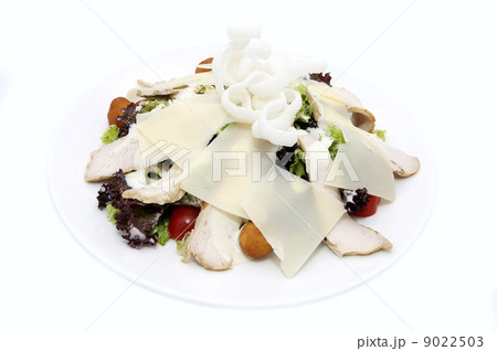 salad with vegetables, meat and cheese on white background salad with vegetables, meat and cheese on white background 9022503