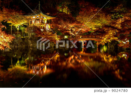 醍醐寺・秋期夜間拝観2013 9024780