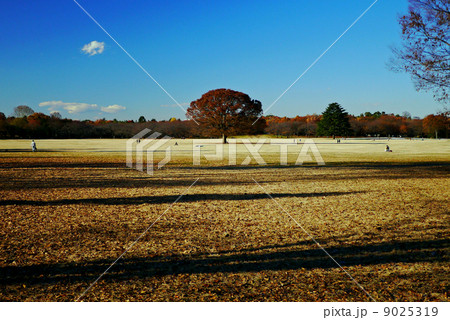 広場 9025319