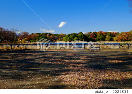 水鳥ノ池 9025351