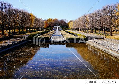 カナール カナール 9025353