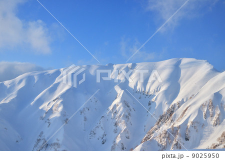 夕陽に染まる雪山 9025950