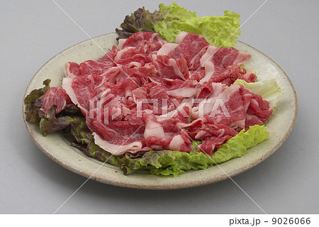 国産黒毛和牛切り落とし 9026066