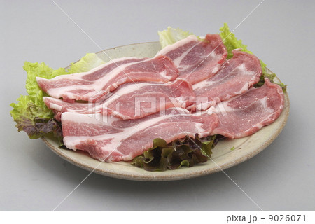 豚しょうが焼用 9026071