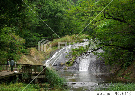 釜淵の滝　岩手県 9026110