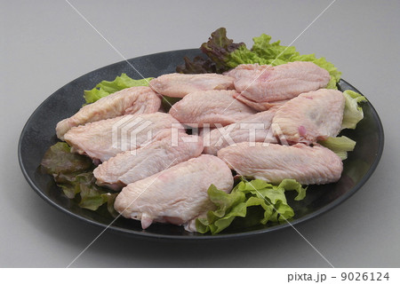 若鶏手羽先用 若鶏手羽先用 9026124