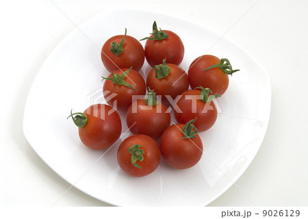 ミニトマト ミニトマト 9026129