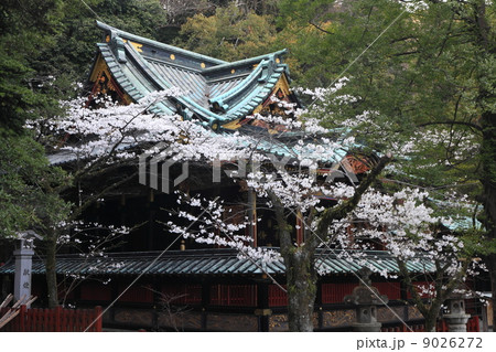 静岡浅間神社 9026272