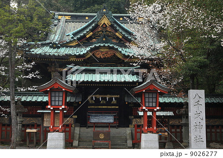 静岡浅間神社 9026277
