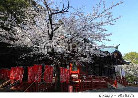静岡浅間神社 9026278