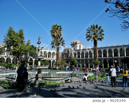 アレキパ6 9026340