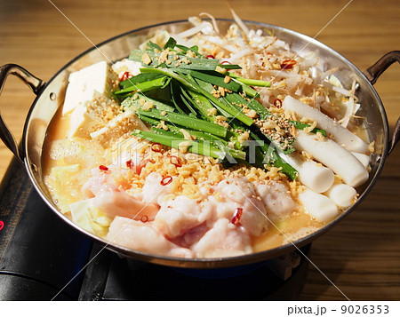 福岡名物 「もつ鍋」 9026353