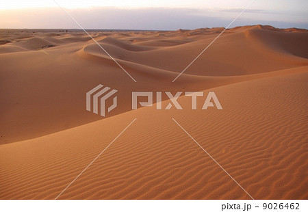 サハラ砂漠 9026462