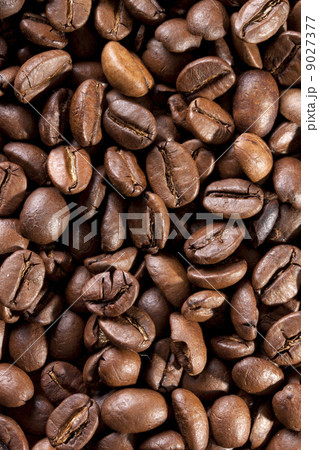 coffee beans coffee beans 9027377