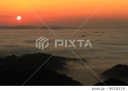 雲海737 雲海737 9028319