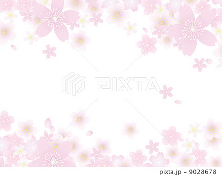 桜吹雪 9028678