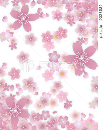 桜吹雪 桜吹雪 9028680