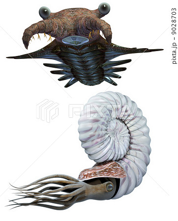 古代海洋生物セット 9028703