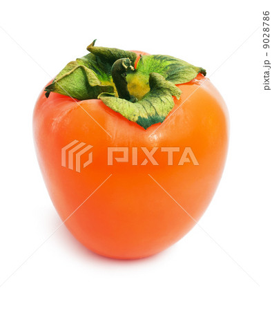 Persimmon 9028786