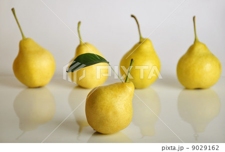fresh pears fresh pears 9029162