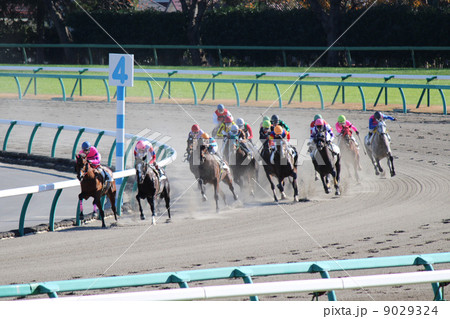 中山競馬場のダートコース4コーナーの写真素材