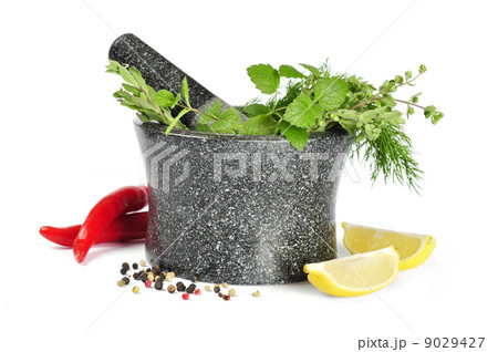 mortar with fresh herbs 9029427