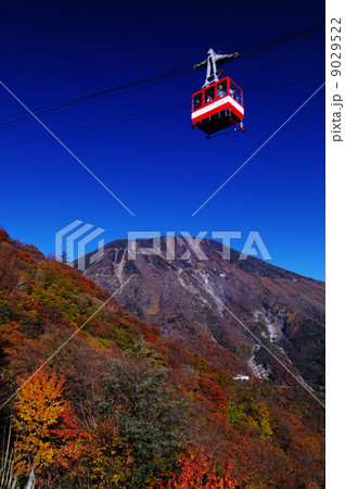 明智平の紅葉 明智平の紅葉 9029522