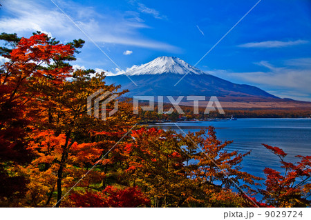 富士山 富士山 9029724