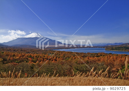 富士山 富士山 9029725