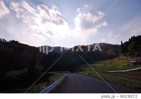 里山の秋 9029872