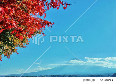 日本の秋・冠雪富士遠景と湖畔の真っ赤な紅葉・横位置 9030893