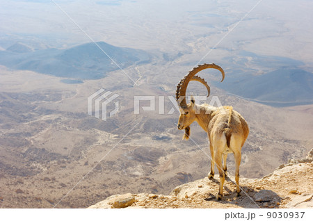 Makhtesh Ramon Makhtesh Ramon 9030937