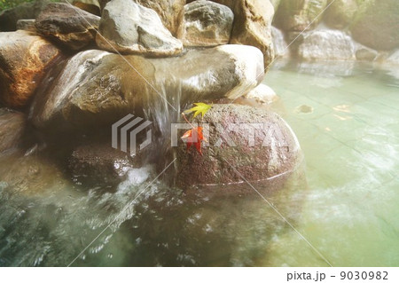 日本の秋・露天風呂に散り込むモミジの葉・縦並び引き横位置 9030982