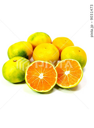 秋の味覚・色鮮やかな早生みかん複数カットあり・白バック縦位置 秋の味覚・色鮮やかな早生みかん複数カットあり・白バック縦位置 9031473